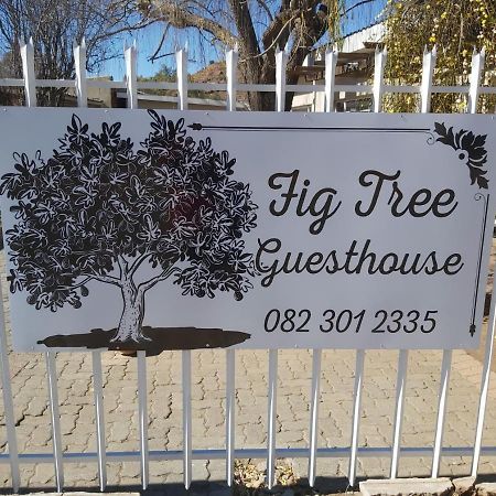 Hotel Fig Tree à Colesberg Extérieur photo